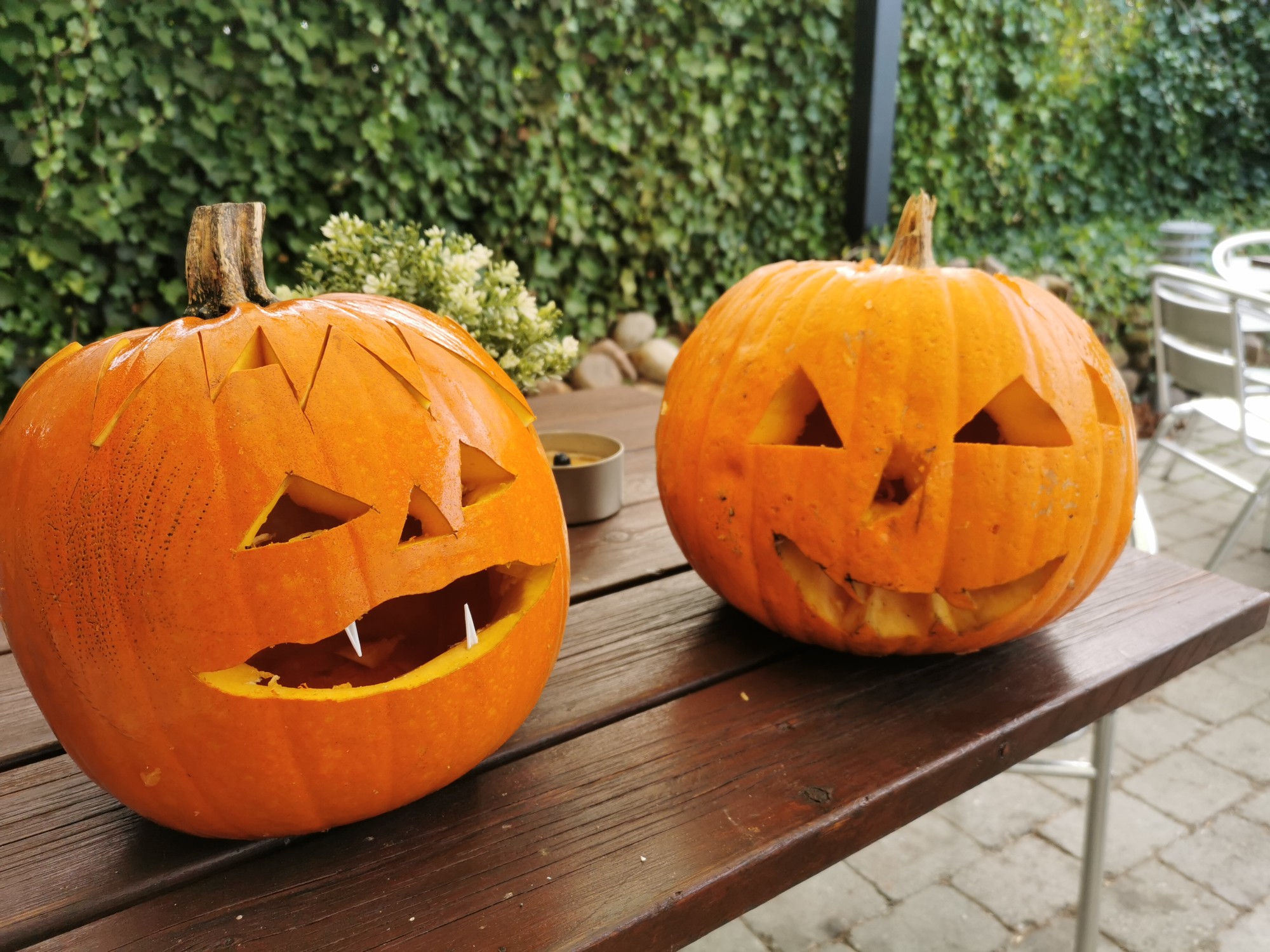 Kom og skær græskar🎃