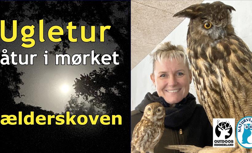 Uglegåtur - på tur med nattens fugle og mørkest lyde.