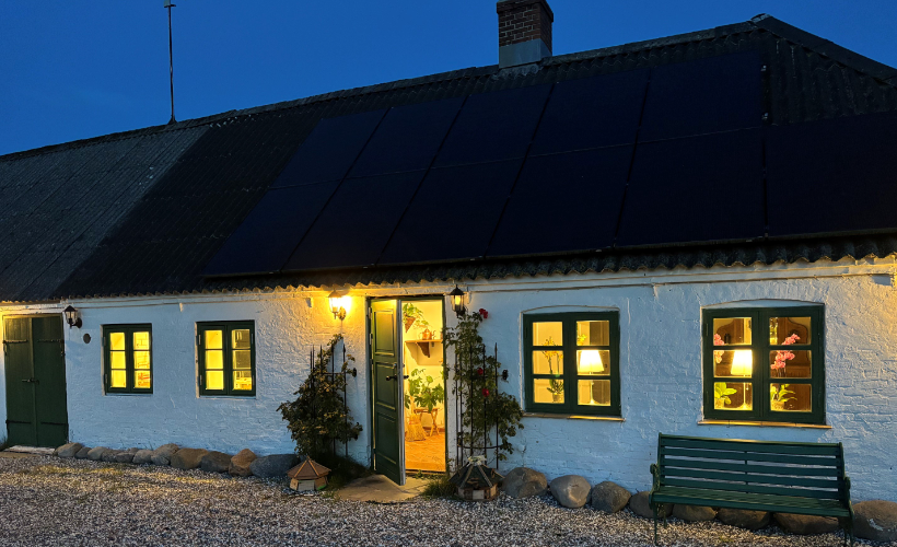 Lys i Mørket - kage fra Læsø Havecafé